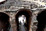 Visite guidée de groupe Colosseo