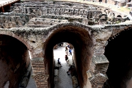 Tour Guidato di Gruppo Colosseo